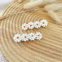 Les Barettes Marguerites 