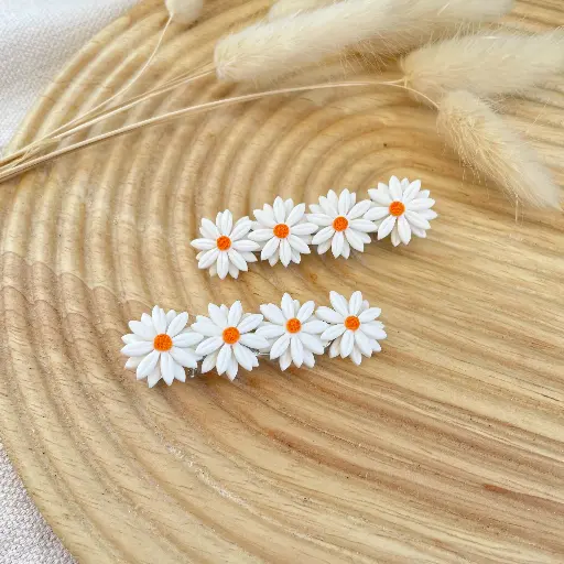 Les Barettes Marguerites 
